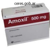 order 250 mg amoxil visa